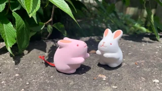 ミチバナセレクト!関西お出かけスポット 7 【かわいい!】今年行きたい!ウサギだらけの『岡崎神社』