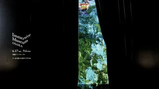 ミチバナセレクト!関西お出かけスポット 12 【新感覚!】体感する美術館『immersive museum OSAKA』