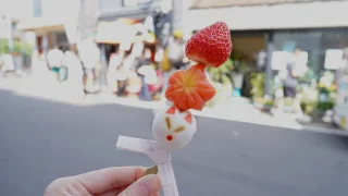 【楽しい！】『京都伏見』に行くならココ！お稲荷さんから可愛い和菓子までおすすめスポット
